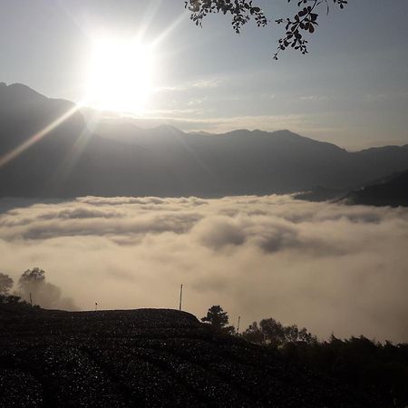 Alishan Shanyunhua B&B Homestay Meishan Zewnętrze zdjęcie