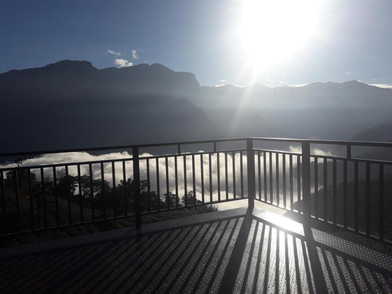 Alishan Shanyunhua B&B Homestay Meishan Zewnętrze zdjęcie